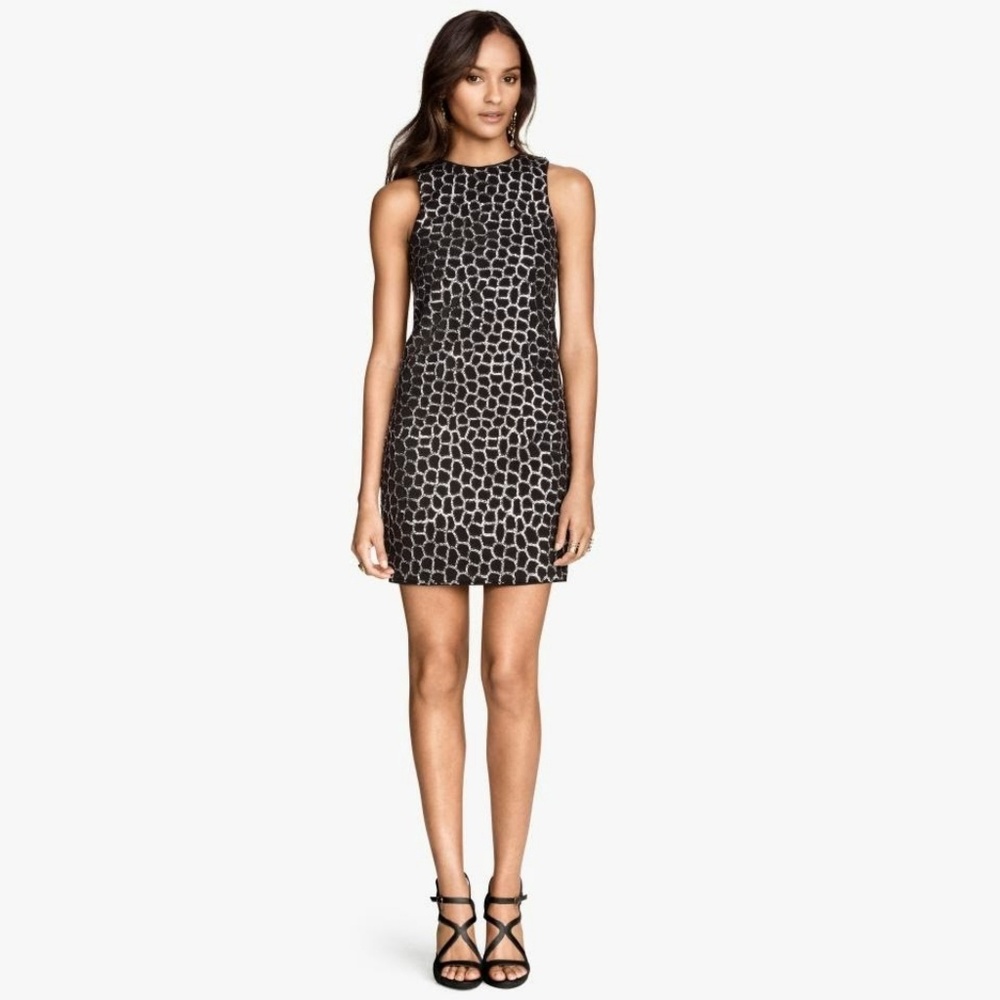 H&M sequined embroidery dress